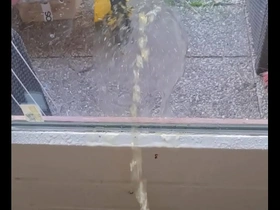 Gay piss play indoors with an uncut stallion