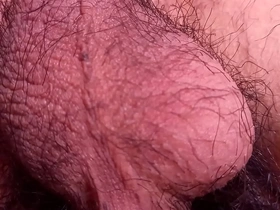 Close up of a gay Asian teen’s hairy nuts moving on their own.